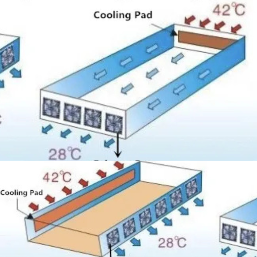 🔹Cooltec Cooling Pads System Diagram for Efficient Poultry Farm Ventilation.