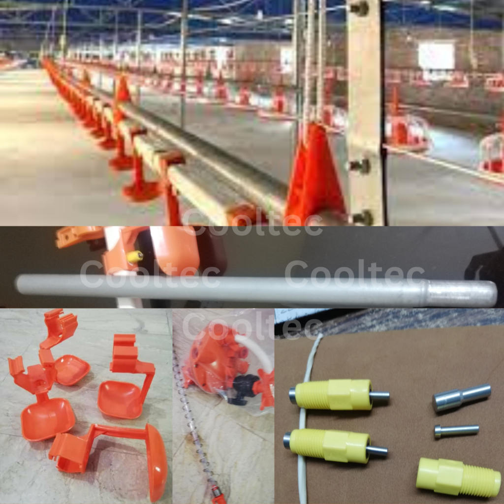 Cooltec Poultry Farm Water Line – Automatic & Hygienic Water Supply System